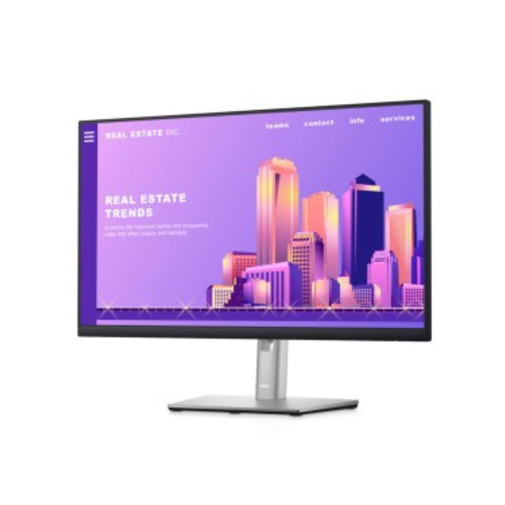 Dell P2422H 24" Full HD LED Monitor